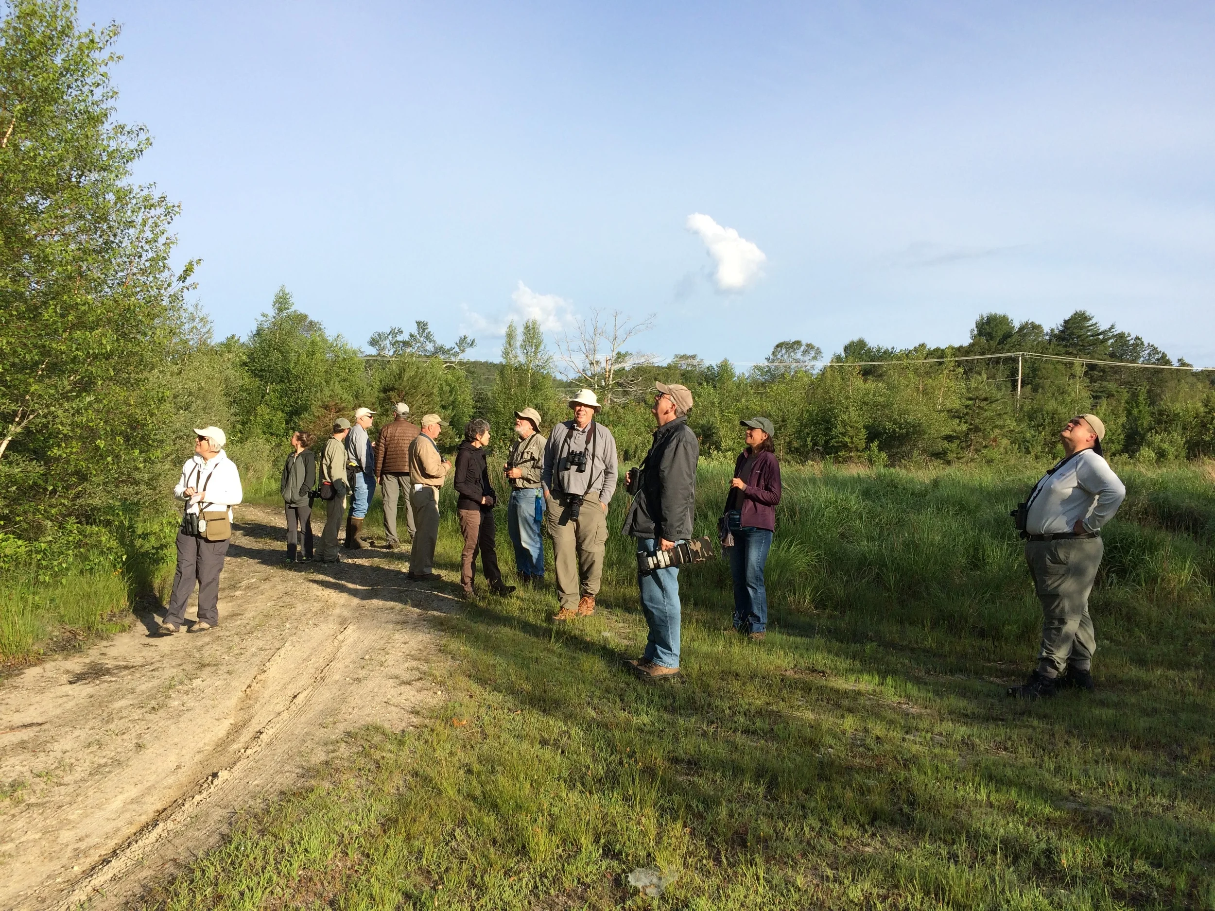 June 27, 2015 | Southeast Ma Bird Club lead by Steven Van der Veen
