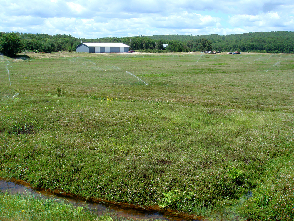 July, 2007 | Sprinklers working on the 32 acre | Most likely, the sprinklers are be flushing out a chemical application.