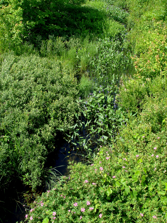 July, 2007