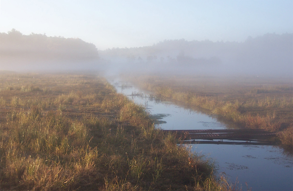 October 8, 2006 | October Morning | after the harvest