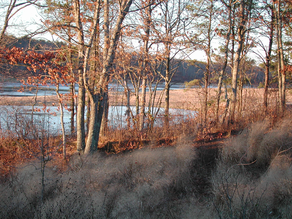 March, 2001 | Winter Flood | From canal on East side of 14