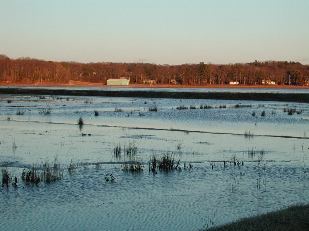 April 1, 2001 | Winter Flood on 35 acre | Late afternoon light