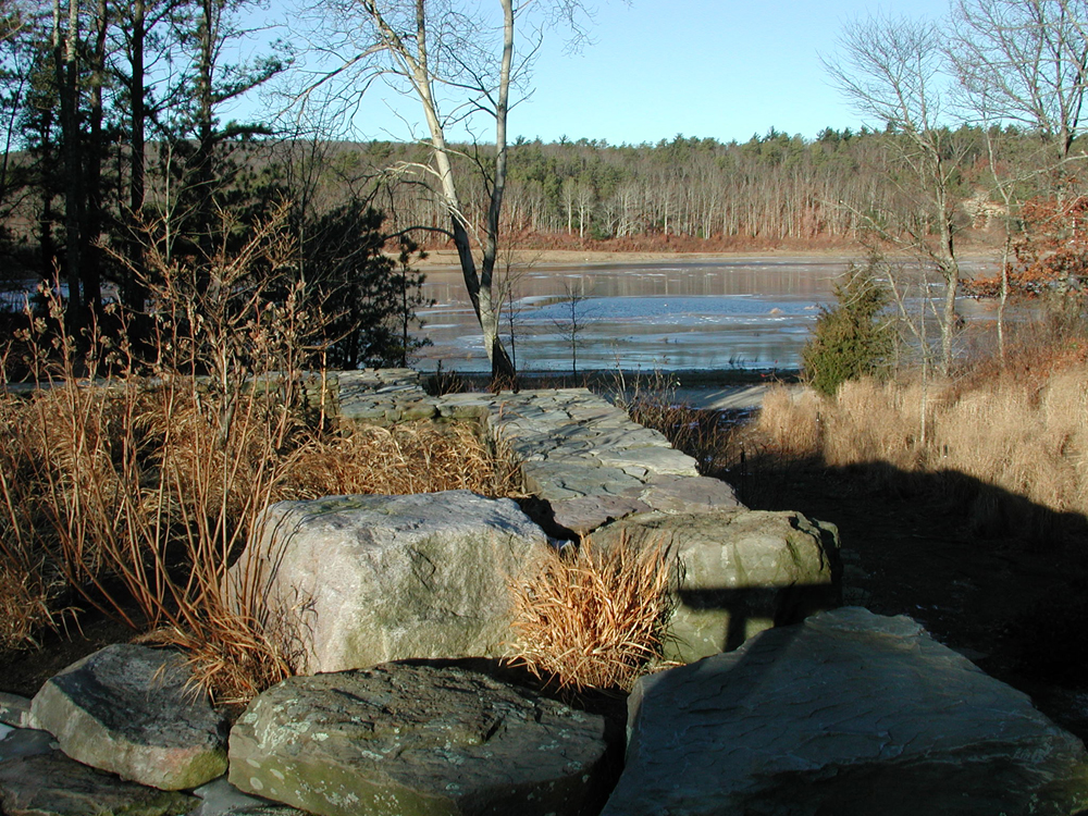 Winter, 2001 | Winterflood On 14 acre | To protect the berries from cold winds, the bogs are flooded in late December and again in February