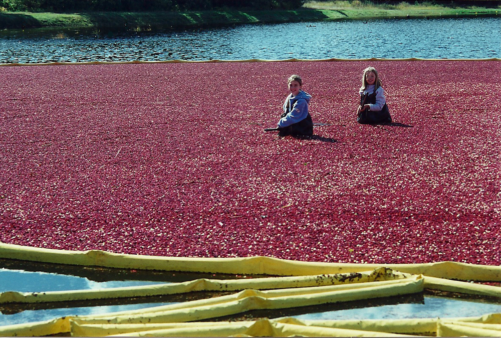 Fall, 2000 | Girls In Berries | Tidmarsh Annual Harvest Party.
