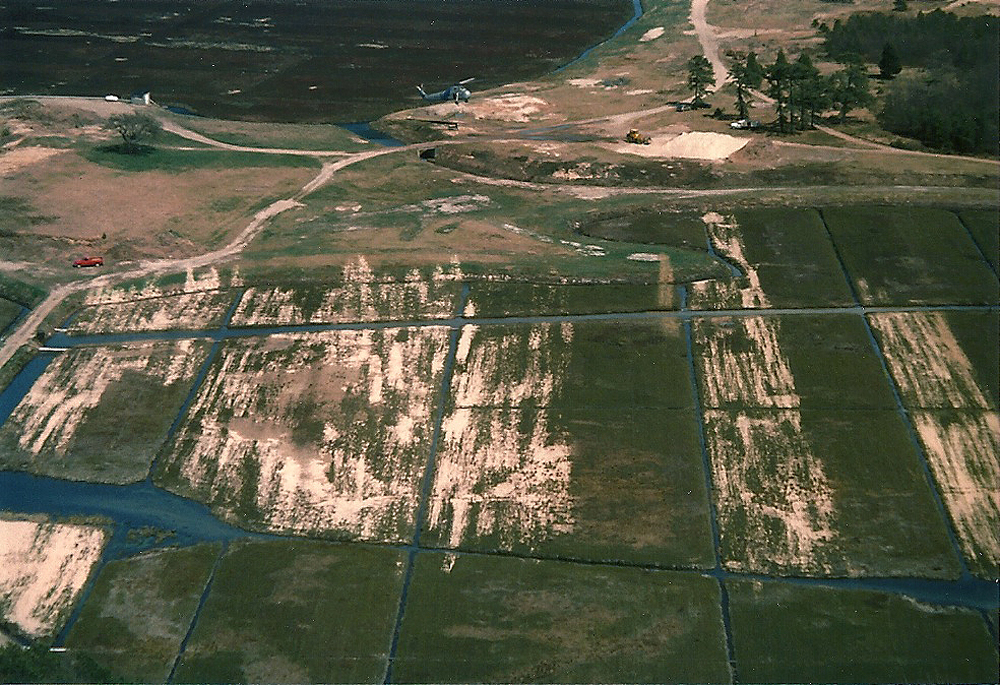 Sand Painting | The 14 acre was half sanded when spring came.