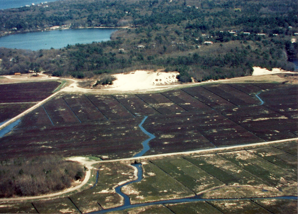 Aerial Looking east from the 35 | You get a sense of the relation of the bogs to Fresh Pond and the ocean.