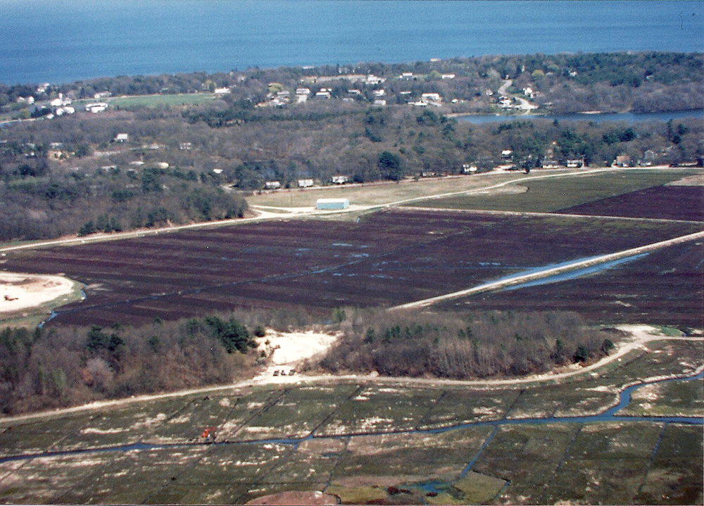 Restoring the Bogs | The 35 acre was in bad shape when it was purchased; all the lateral ditches needed cleaning.