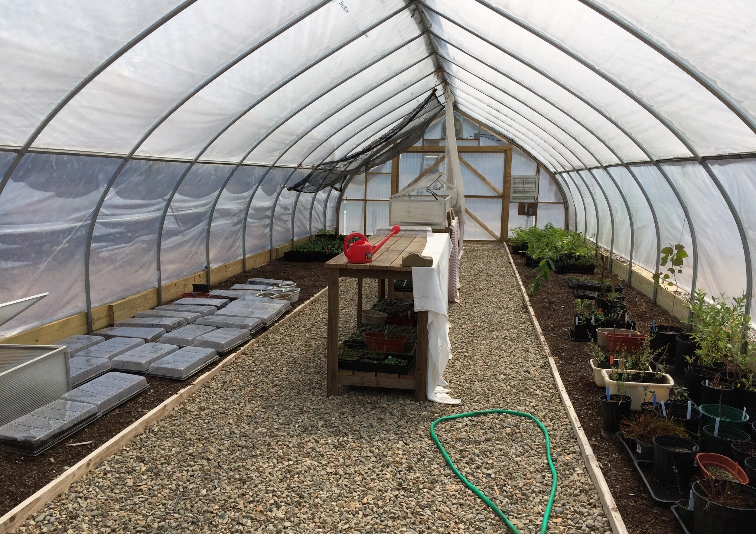 20150514_Greenhouse_inside_IMG_6428.JPG