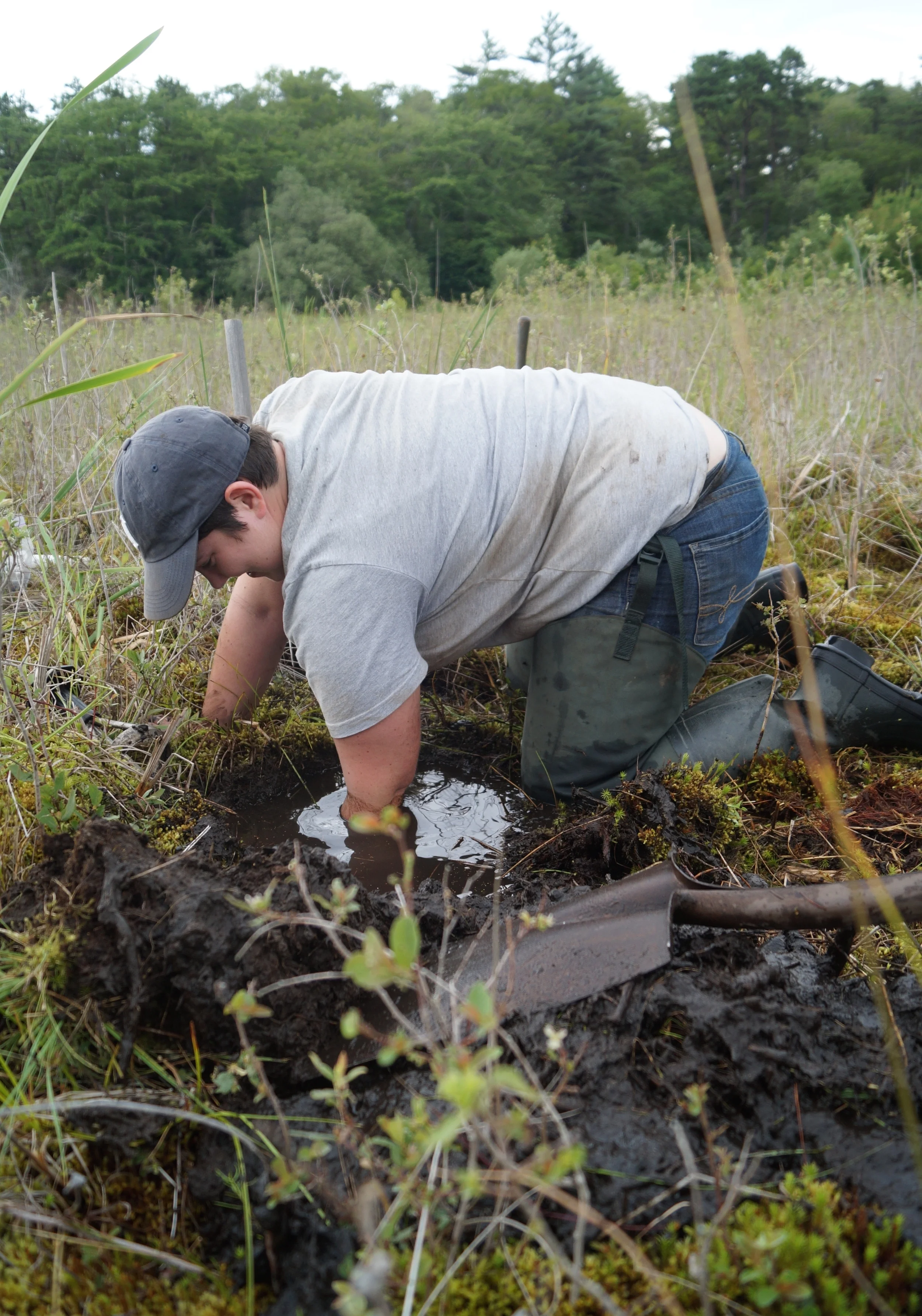 20150719_soil_sampling_TF_East_DSC02574_cr_CHatch.jpg