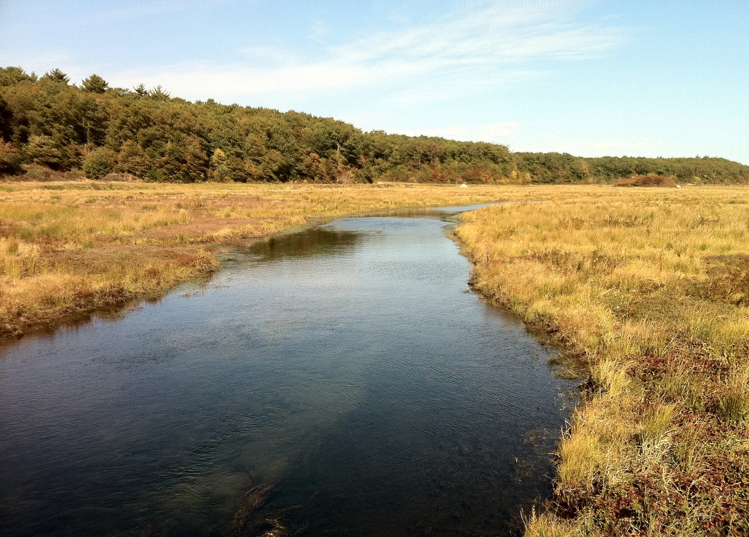 20101011_tooWide_tooStraight_cell3_IMG_0137 .jpg