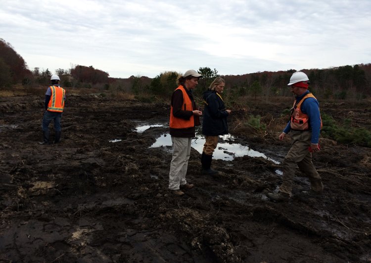November 10, 2015 | Beth and Helen from NRCS check progress on cell2
