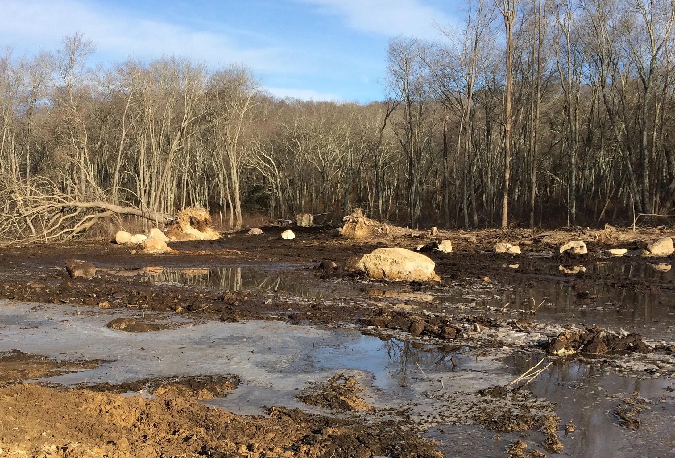 January 20, 2016 | Constructed flood plain