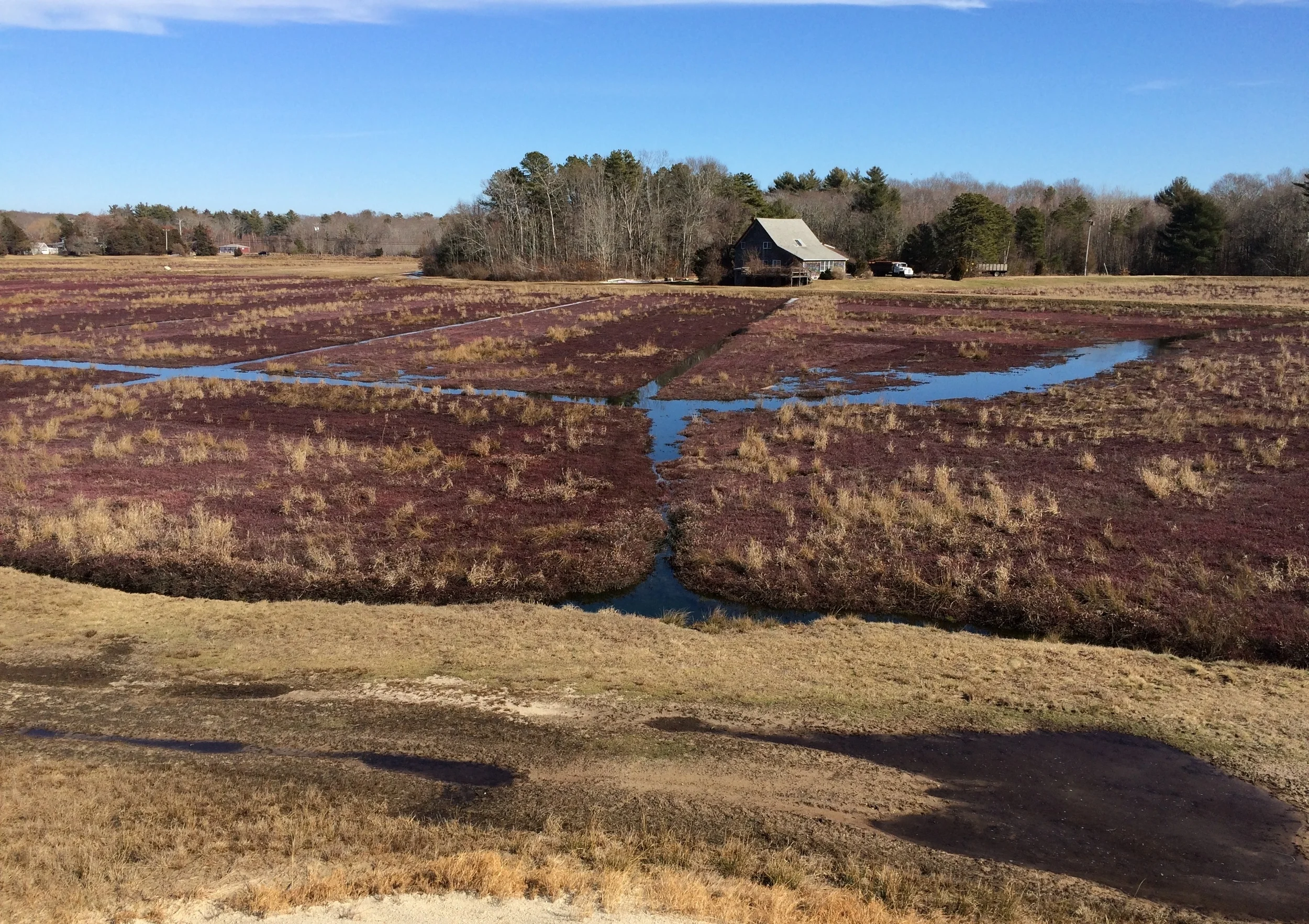 Febuary 19, 2016 | Tidmarsh West