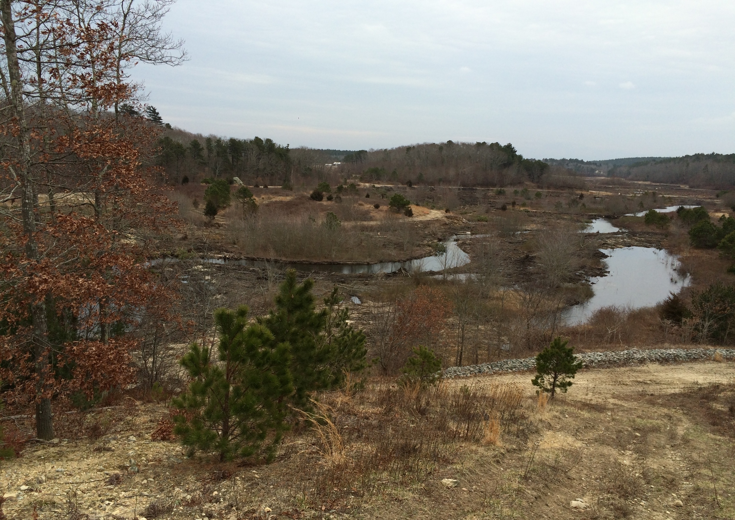March 8, 2016 | Overview restoration site