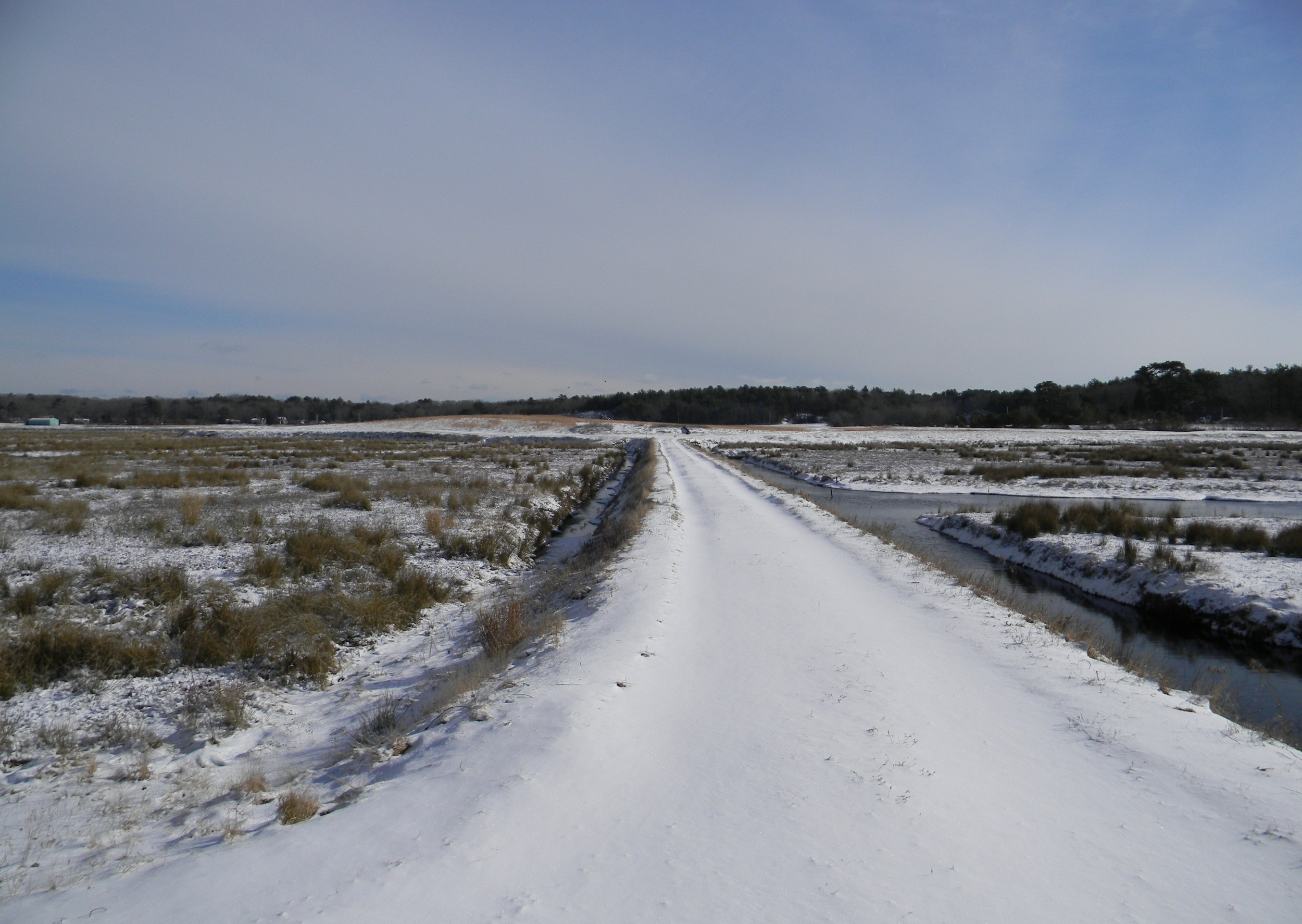 January 9, 2011 | Berm between cell3 and cell7