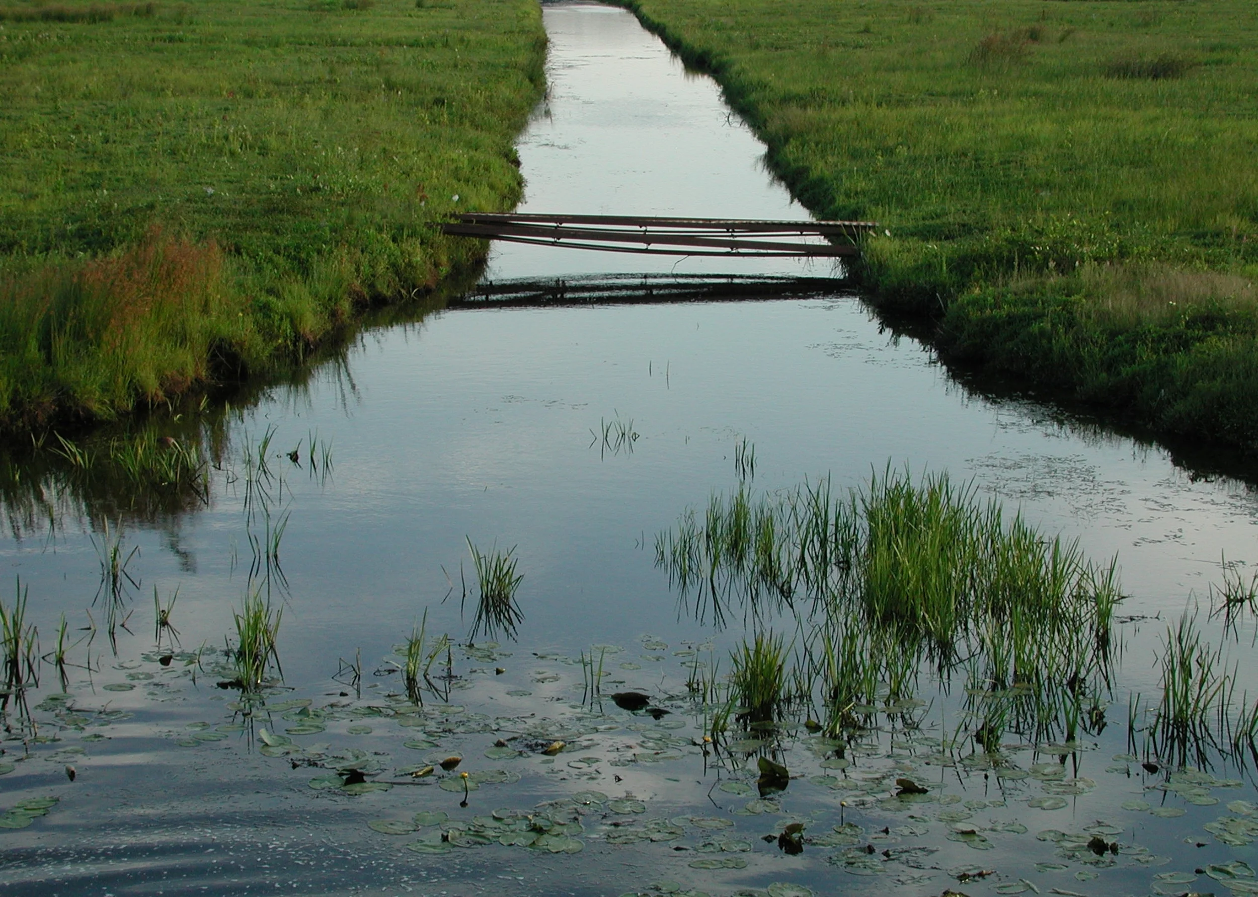 June 1, 2010 | Main channel from dam cell4