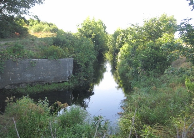 July 17, 2010 | Concrete channel cell6