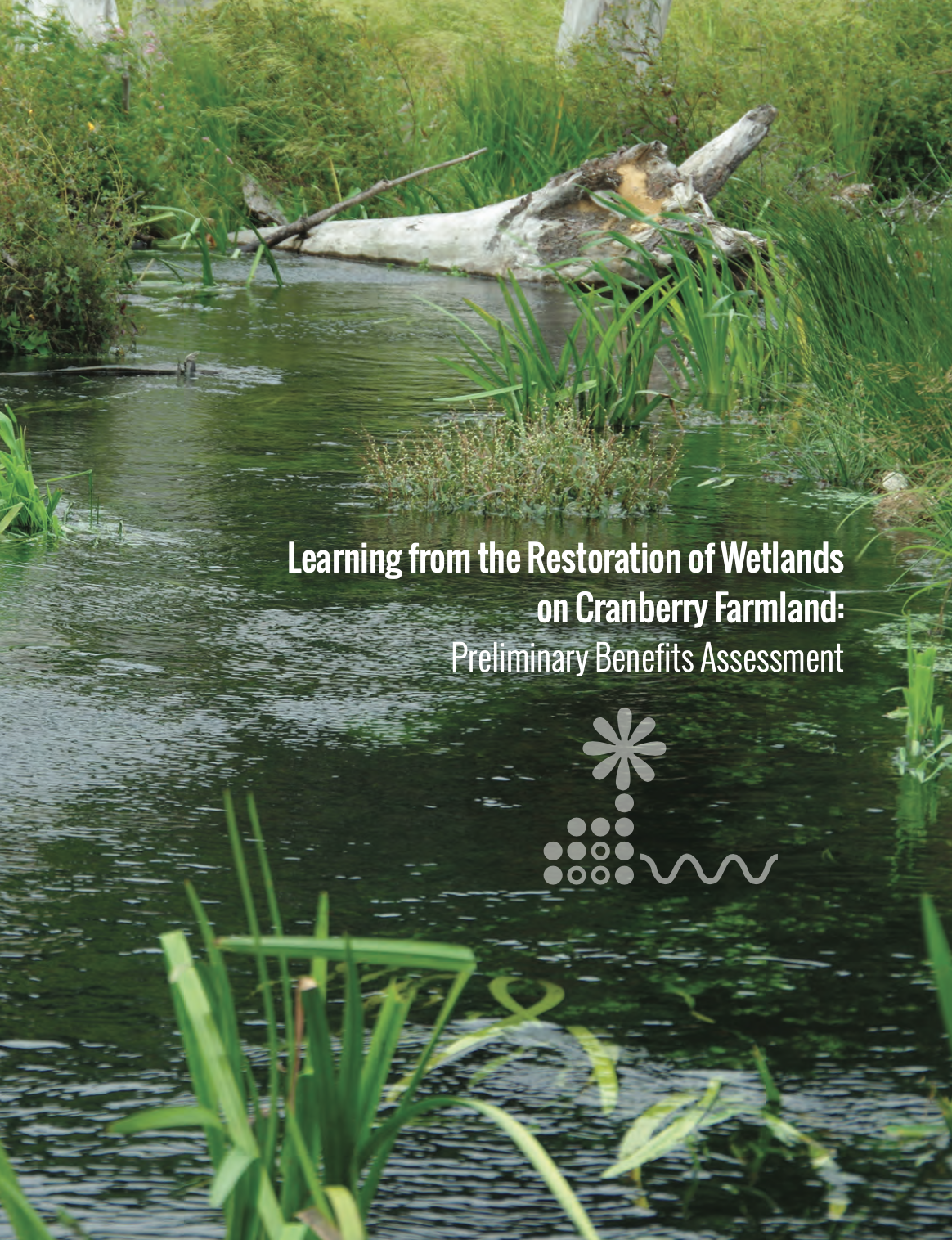 Learning Report - Physical Copy