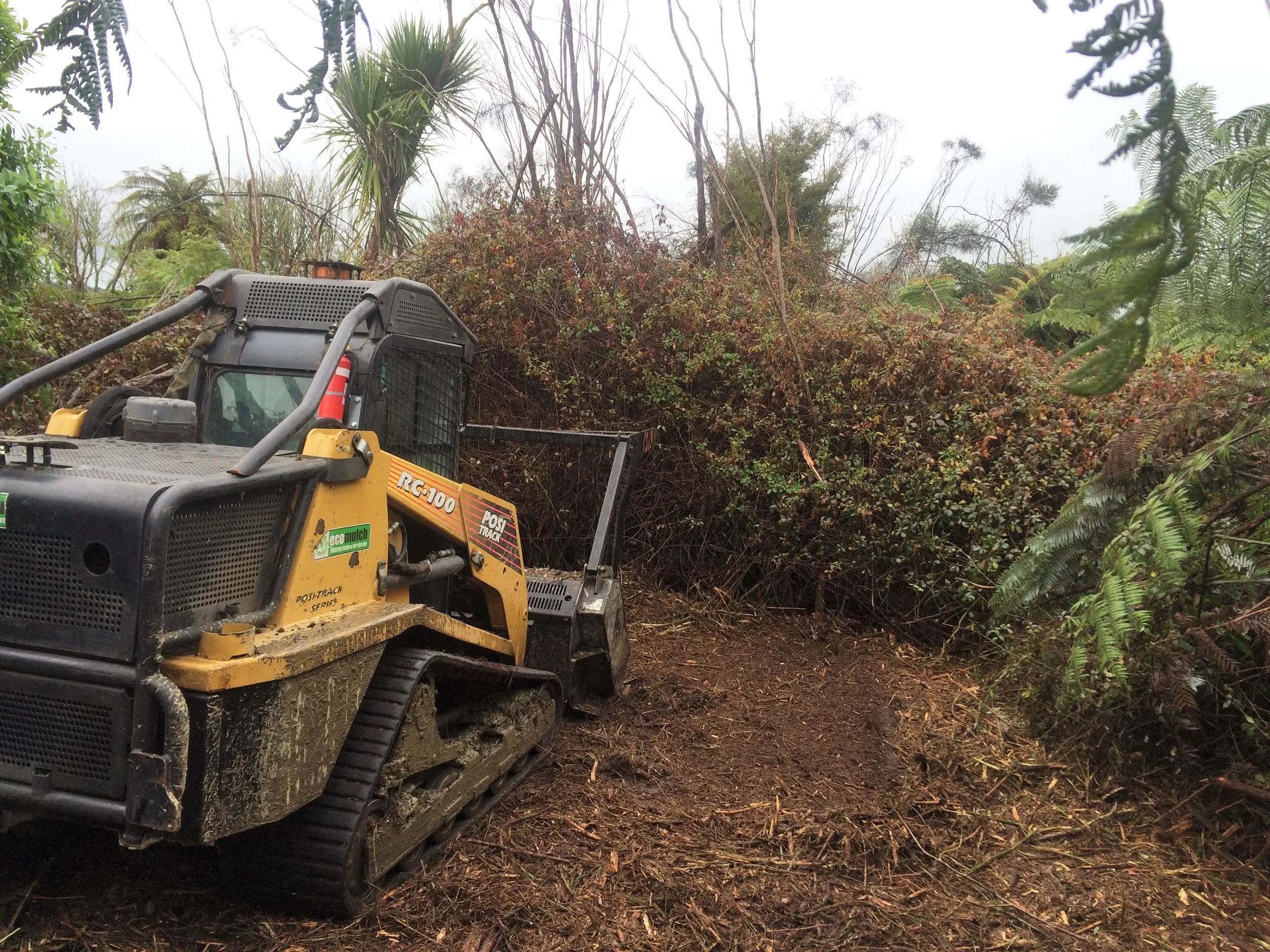 4.  No Bush too dense - &nbsp; Because our machine is 100 HP with two supporting tracks, we have a light foot print so we can do where other machines would get stuck and then mulch our way through the green wall.