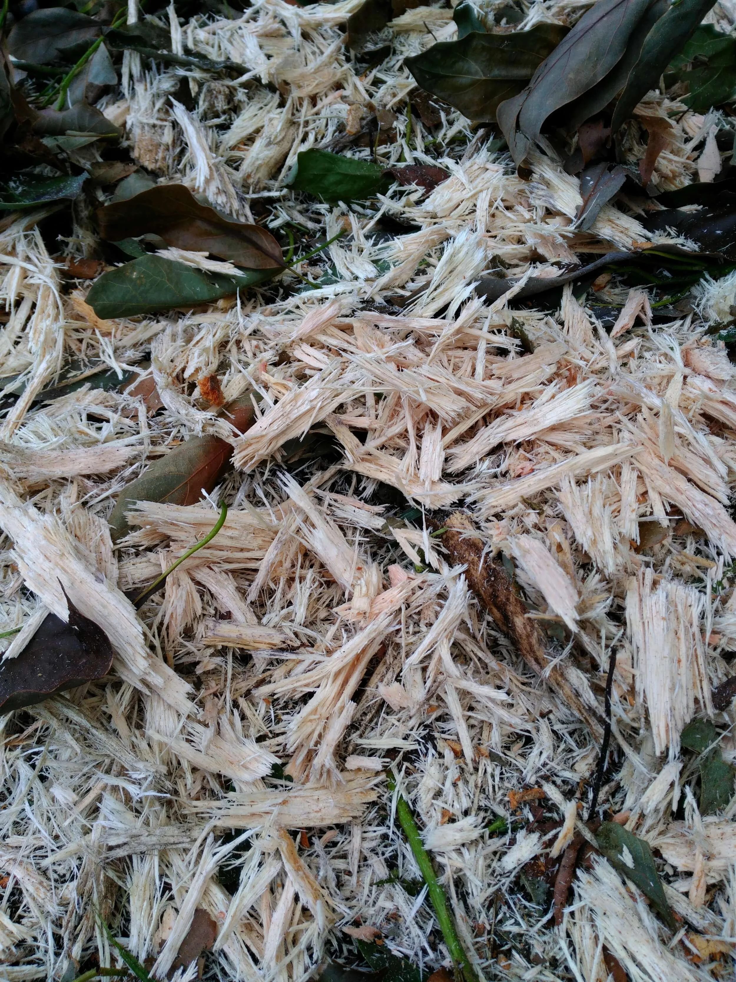 Course mulching Head