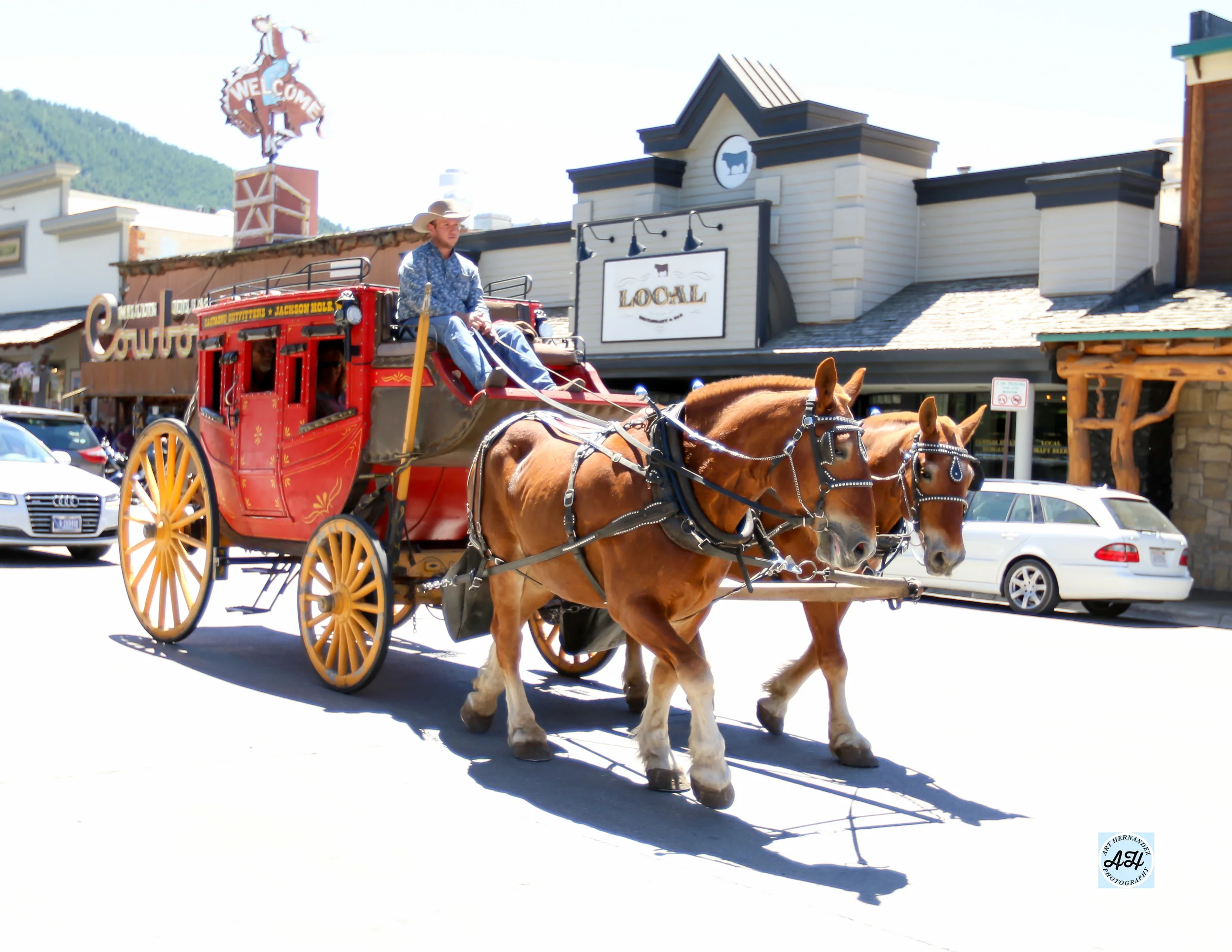 Jackson Hole, Wyoming