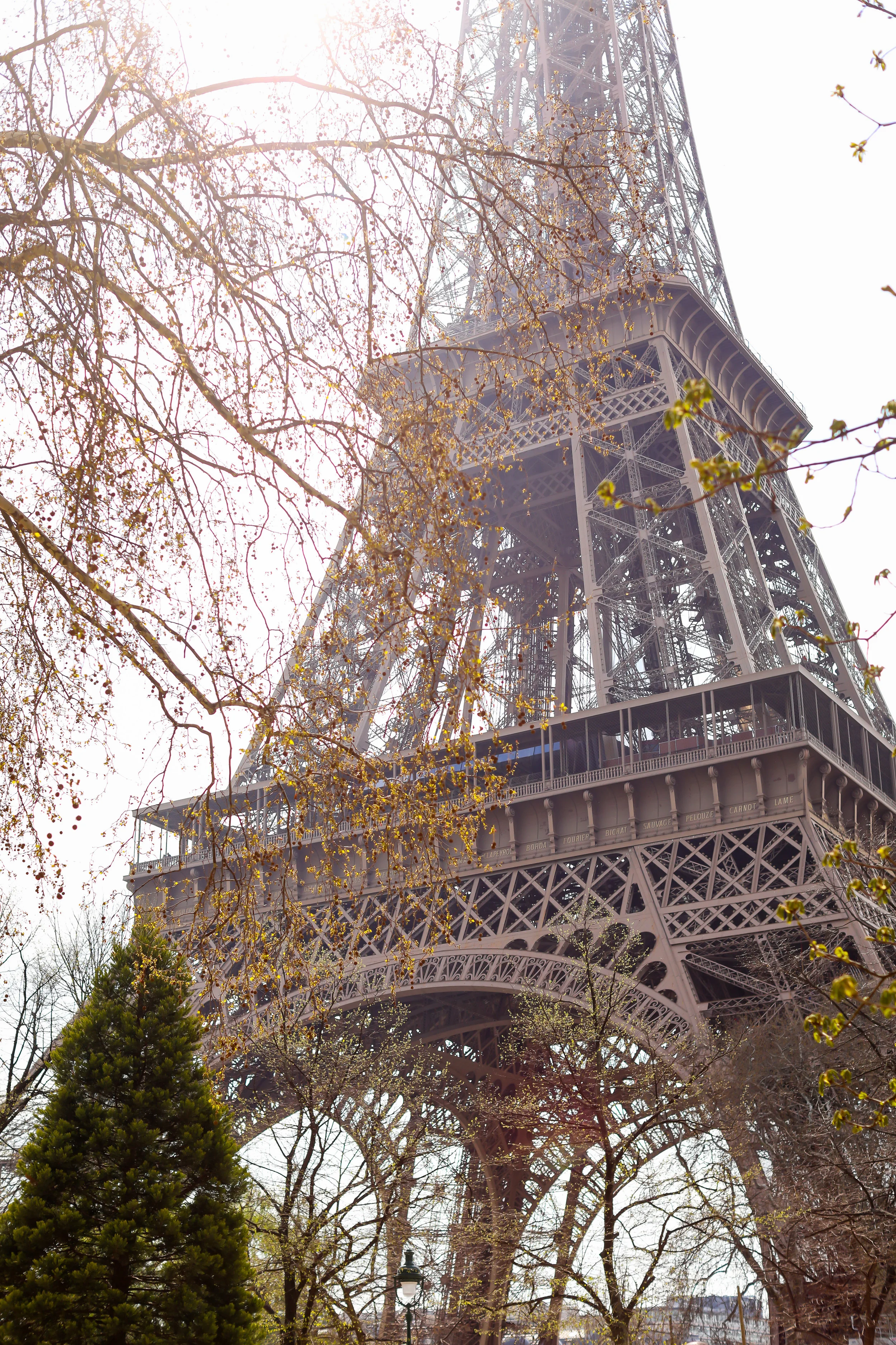 Eiffel Tower, Paris