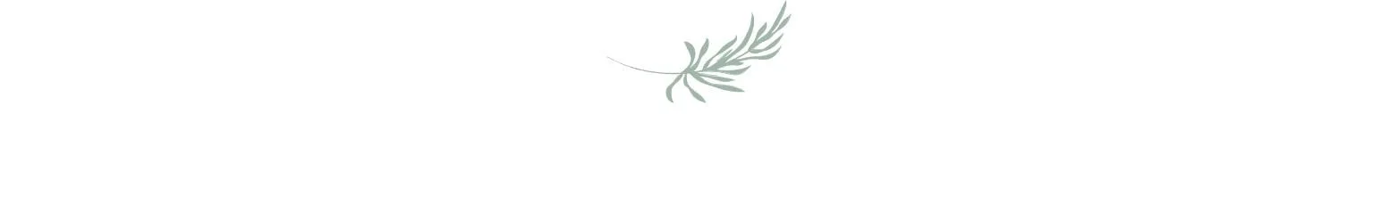 Palm Leaf Cropped.jpg
