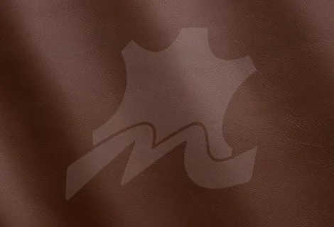 017-Woody_MS650069.jpg