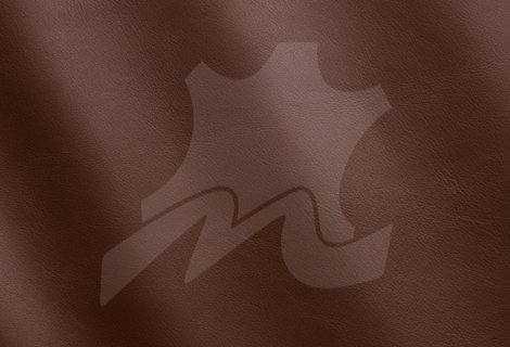 017-Woody_MS650069.jpg