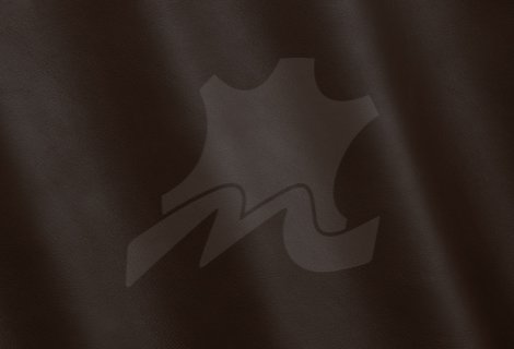 022-Coffee_MS690127.jpg