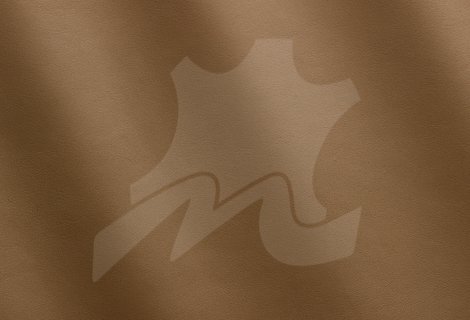 009-Cappuccino_MS180083.jpg