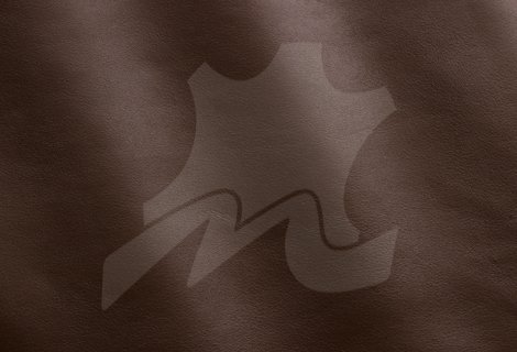 020-Date_MS650077.jpg