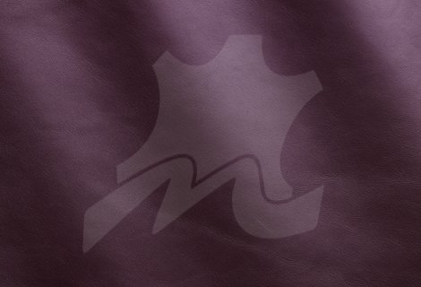 052-Laser_MS310037.jpg