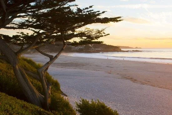 carmel-california-cypress-tree-and-waves-at-sunset-on-ocean-pebble-beach_u-L-Q1D02550.jpg