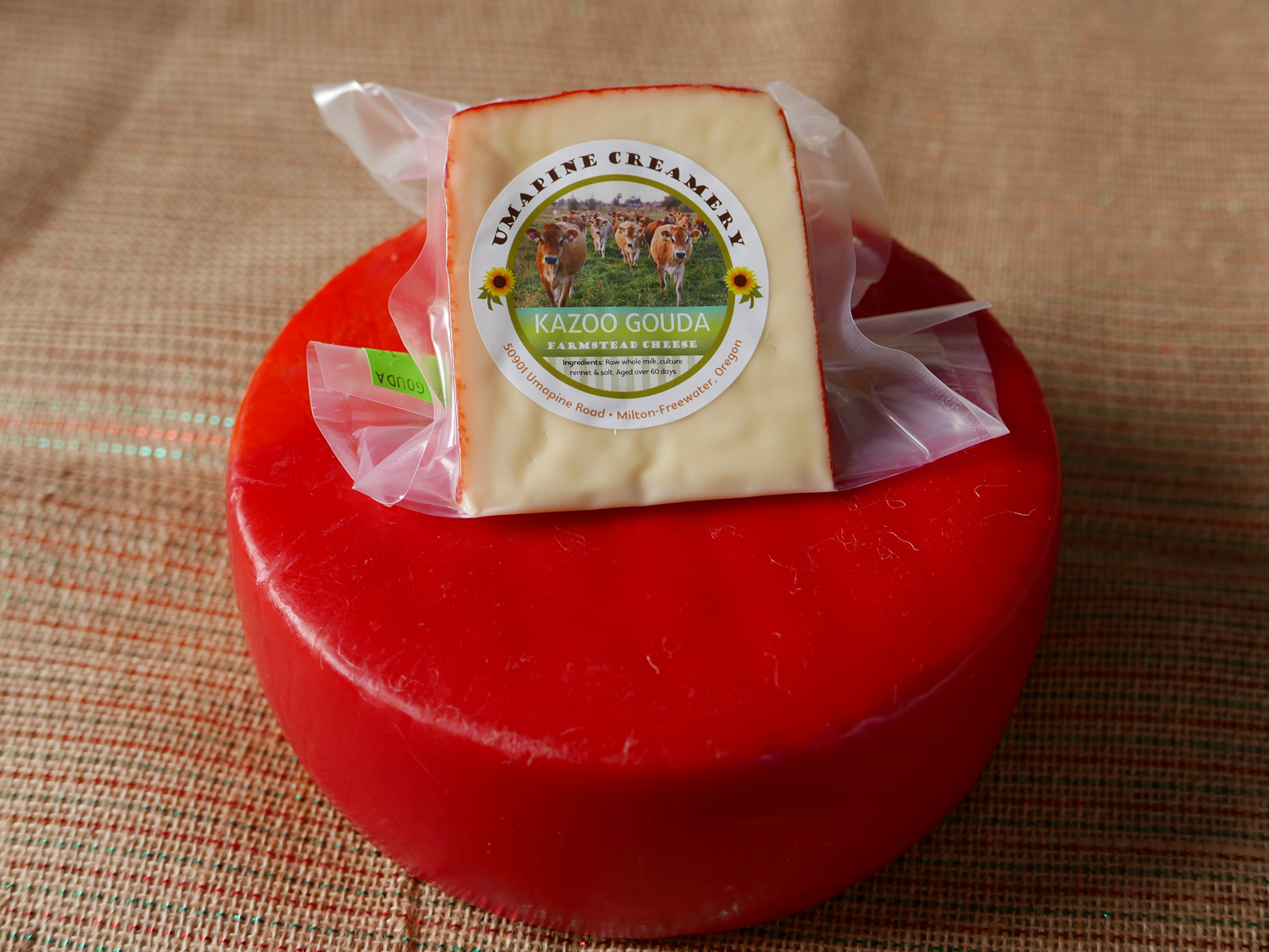 Kazoo Gouda