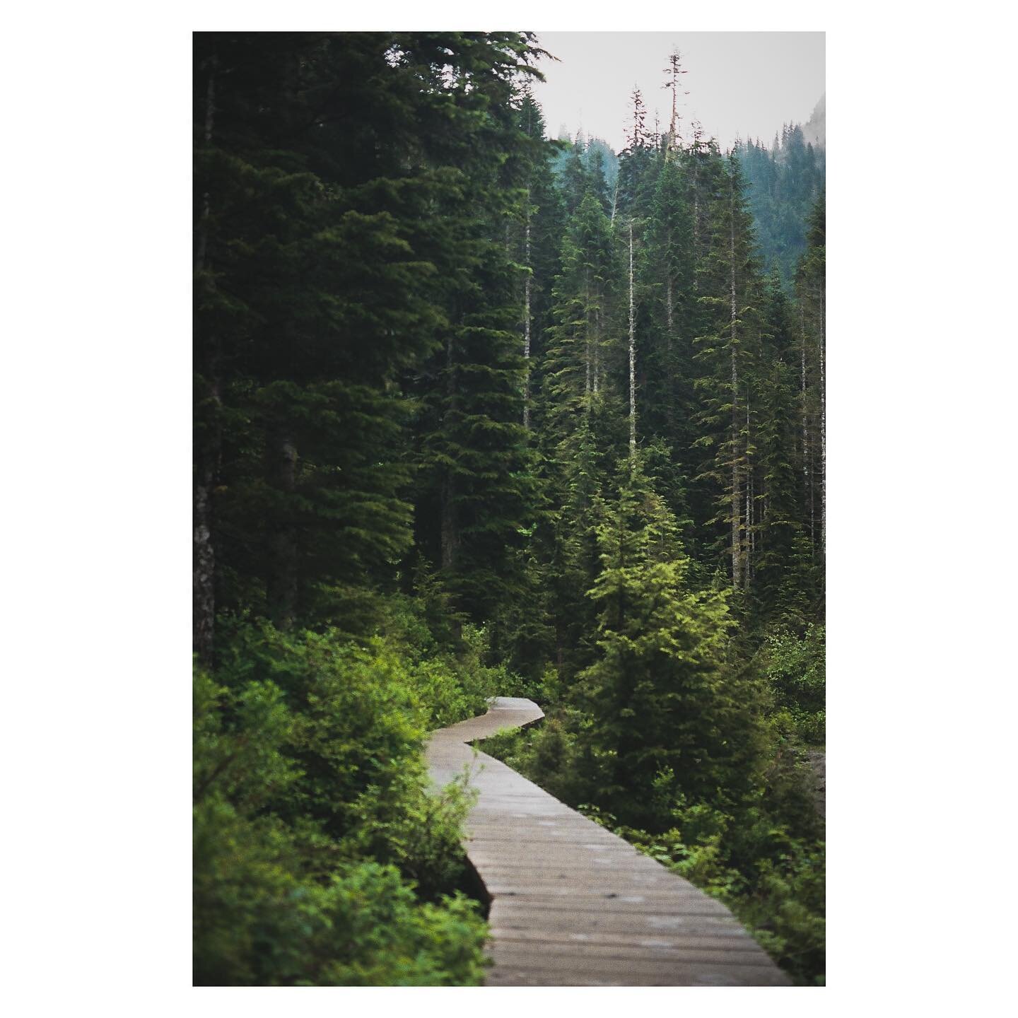 A trail for wanderers. - Kodak Portra 400 on Olympus OM-1