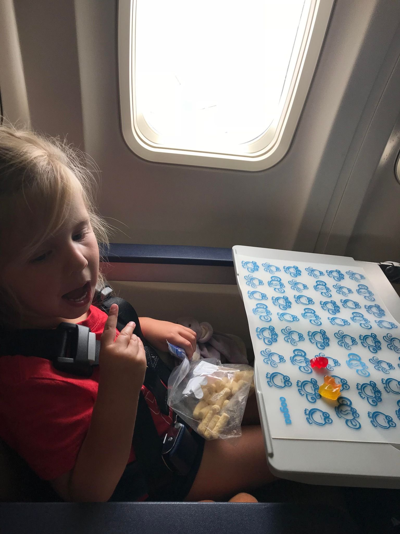 Top 13 Tips for Traveling with Toddlers on a Plane - My Cancer Chic