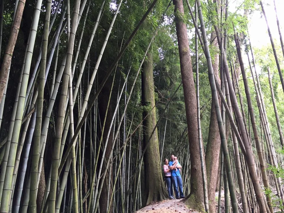 Our Family in the Bamboo Forest