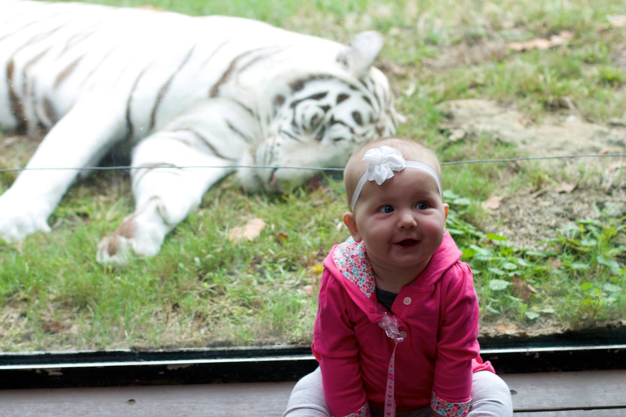 Montgomery Zoo