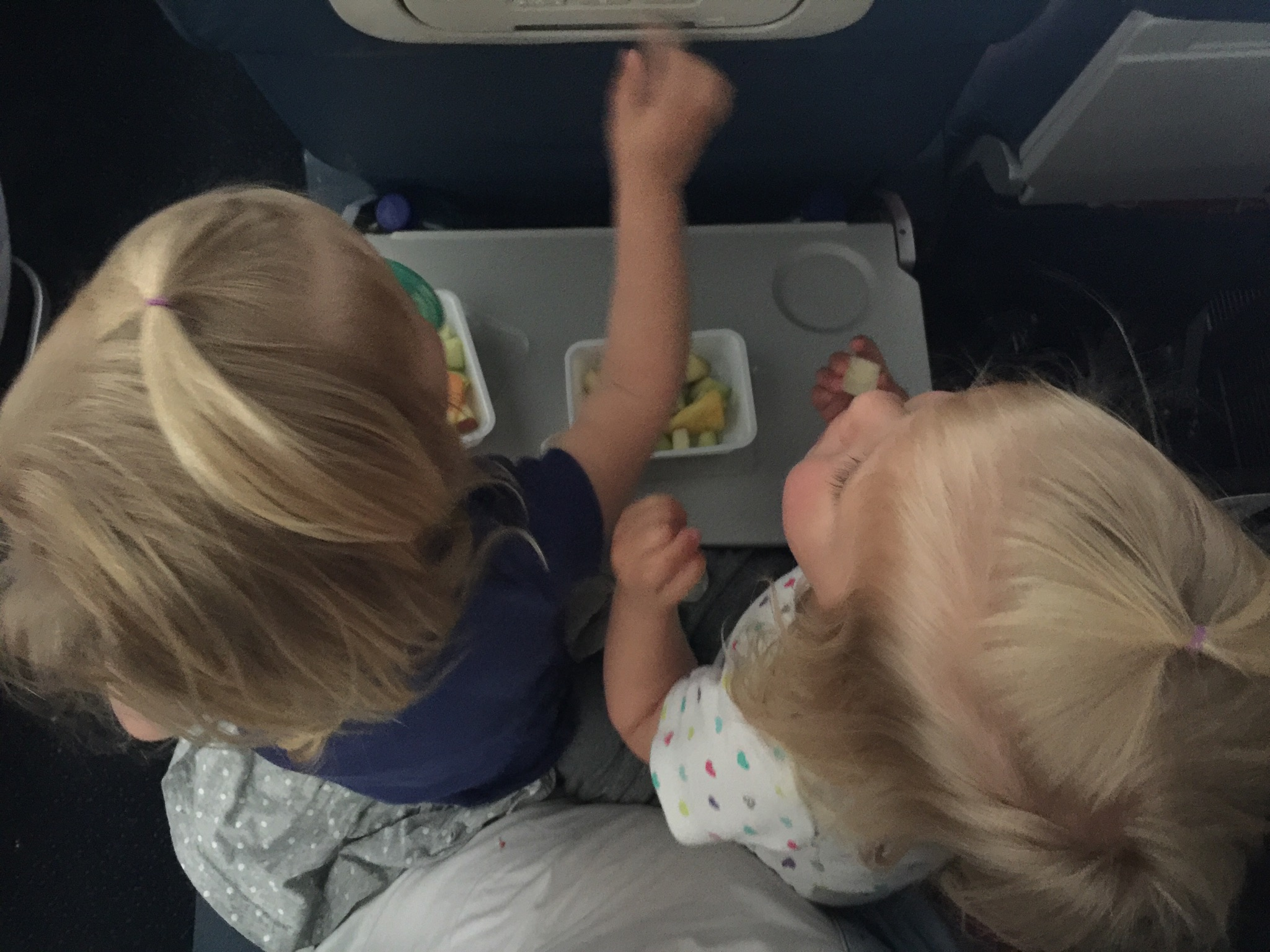 Delta offered us Toddler meals for the kids that they were willing to bring whenever we asked. Overall the logistics worked out great. We also packed two snacks per kids along with 5 diapers per kid in a carry on book bag.