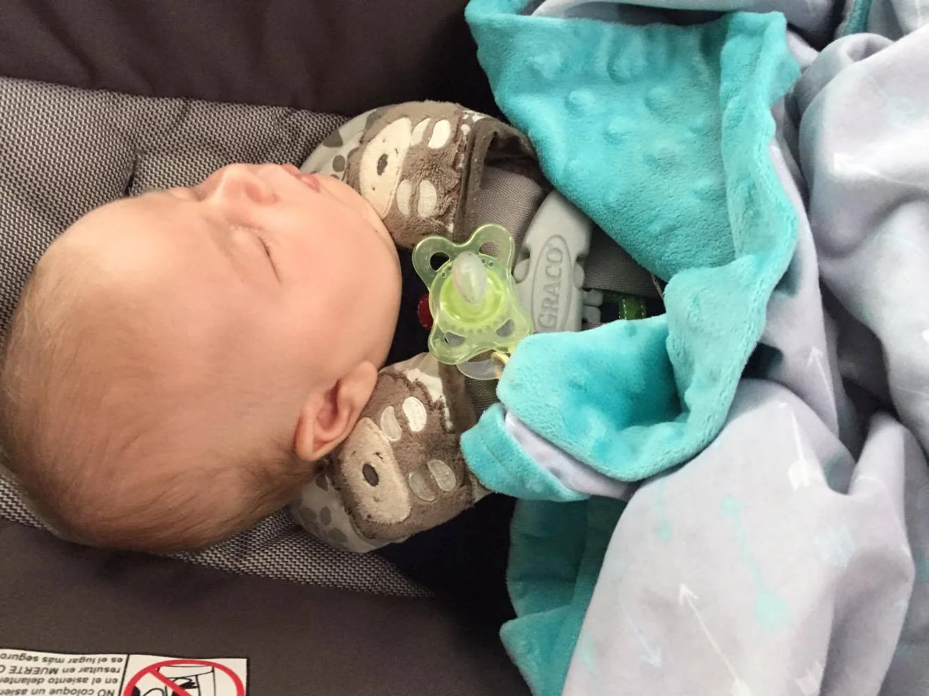 Latham Napping in the car