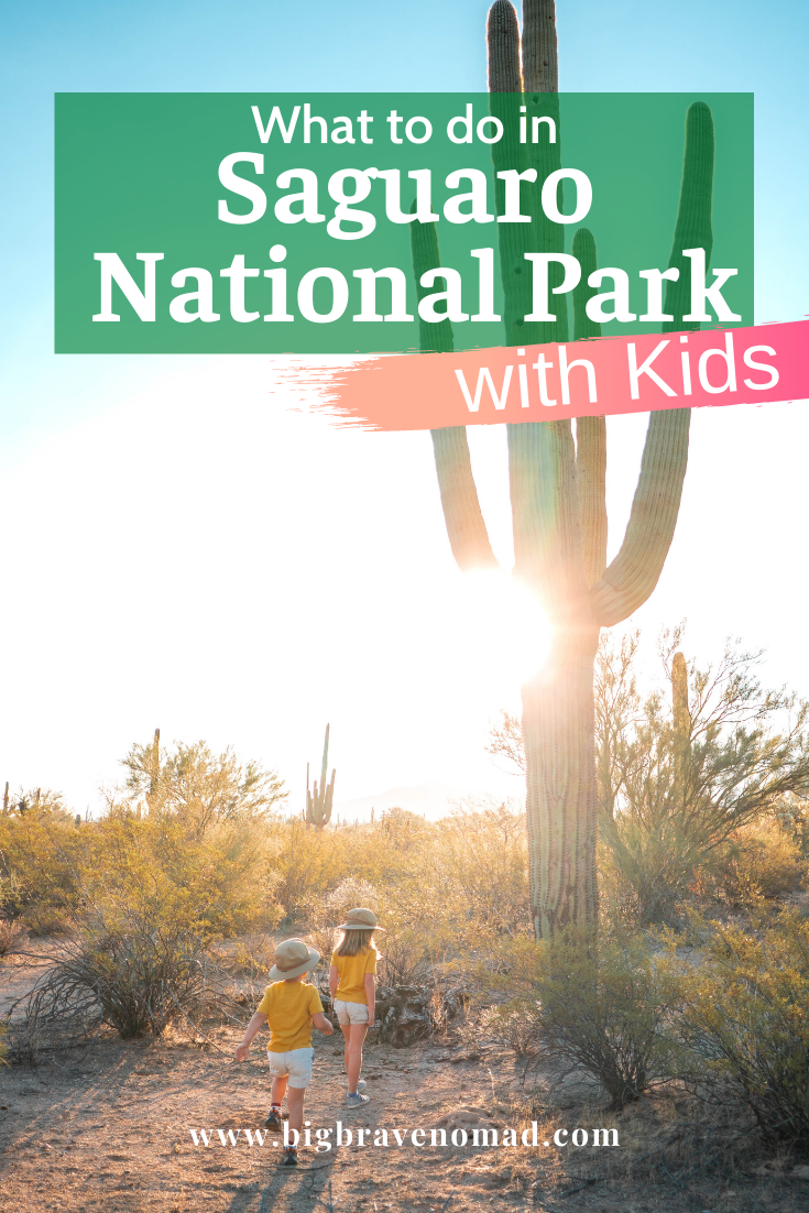 Visiting Saguaro National Park with Little Kids — A Mom Explores  Family  Travel Tips, Destination Guides with Kids, Family Vacation Ideas, and more!