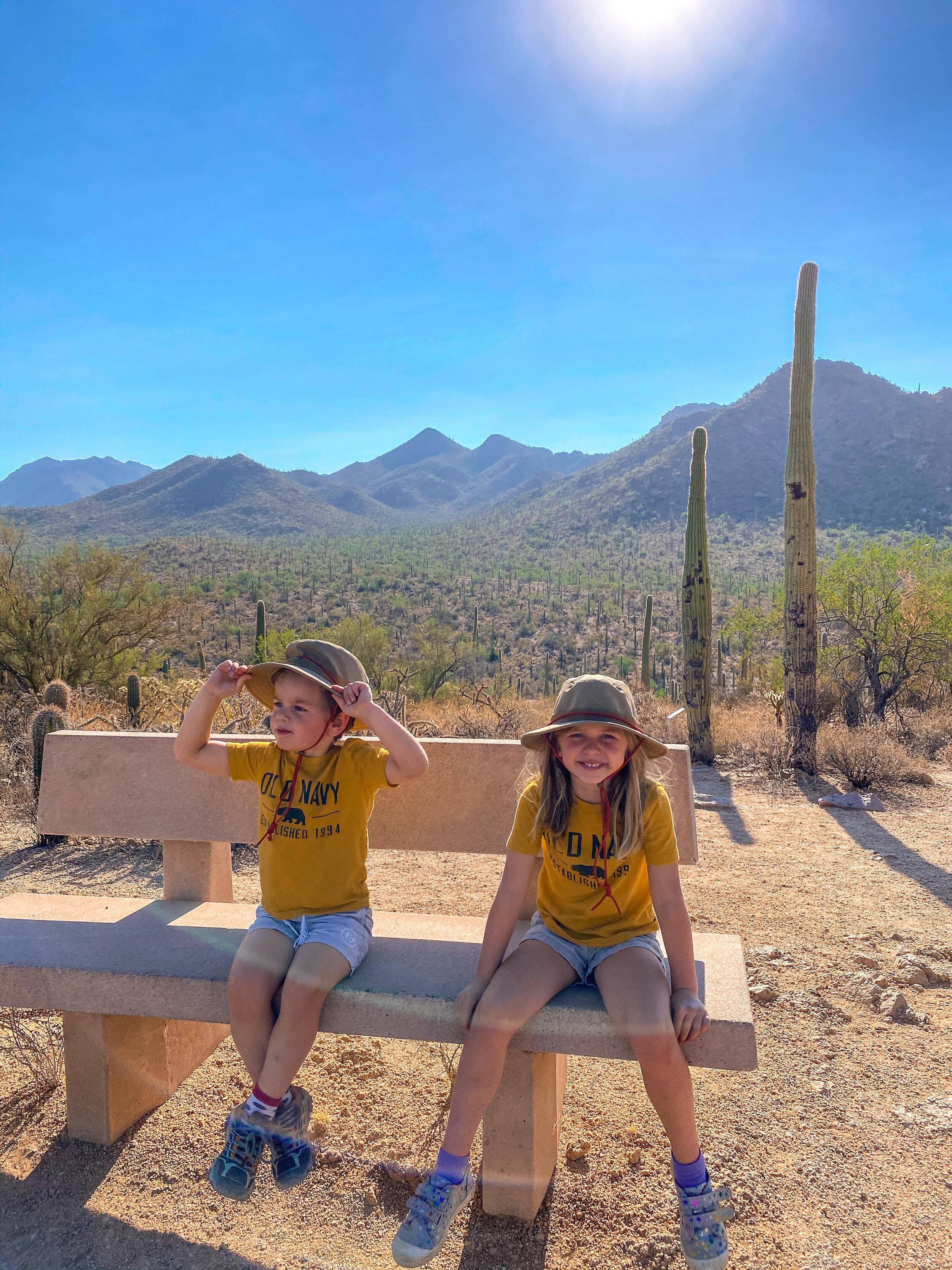 What to do in Saguaro National Park with Kids — Big Brave Nomad