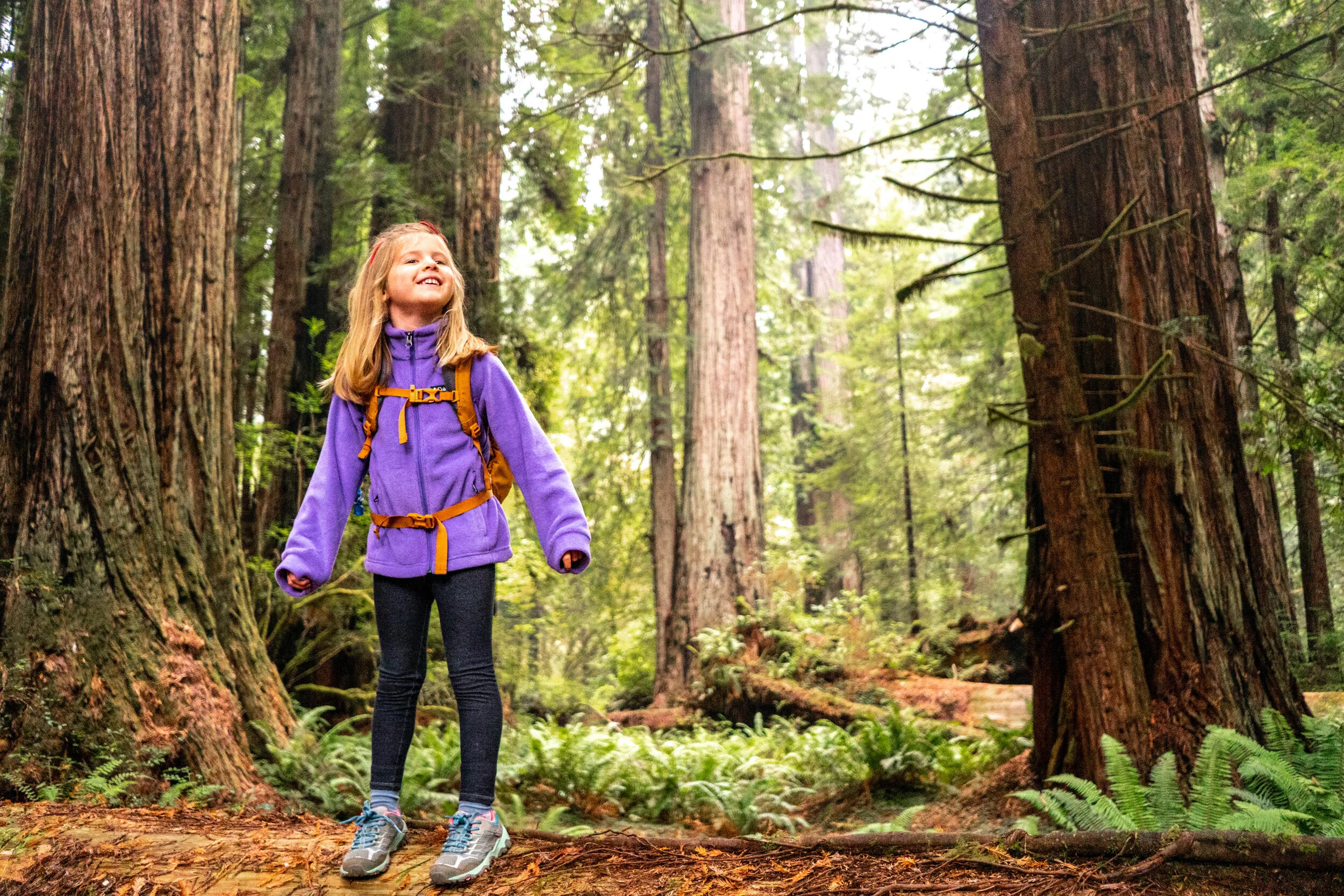 Redwood National Park With Kids