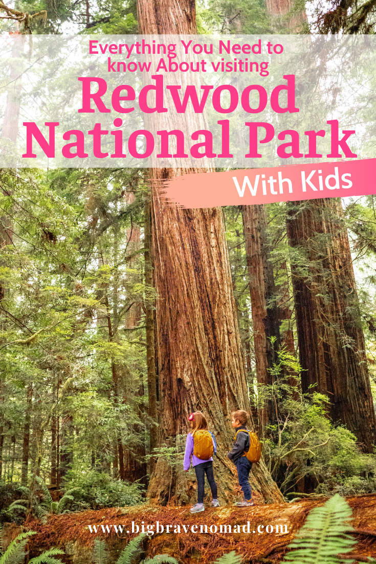The Best Things to do in Redwood National Park with Kids — Big Brave Nomad
