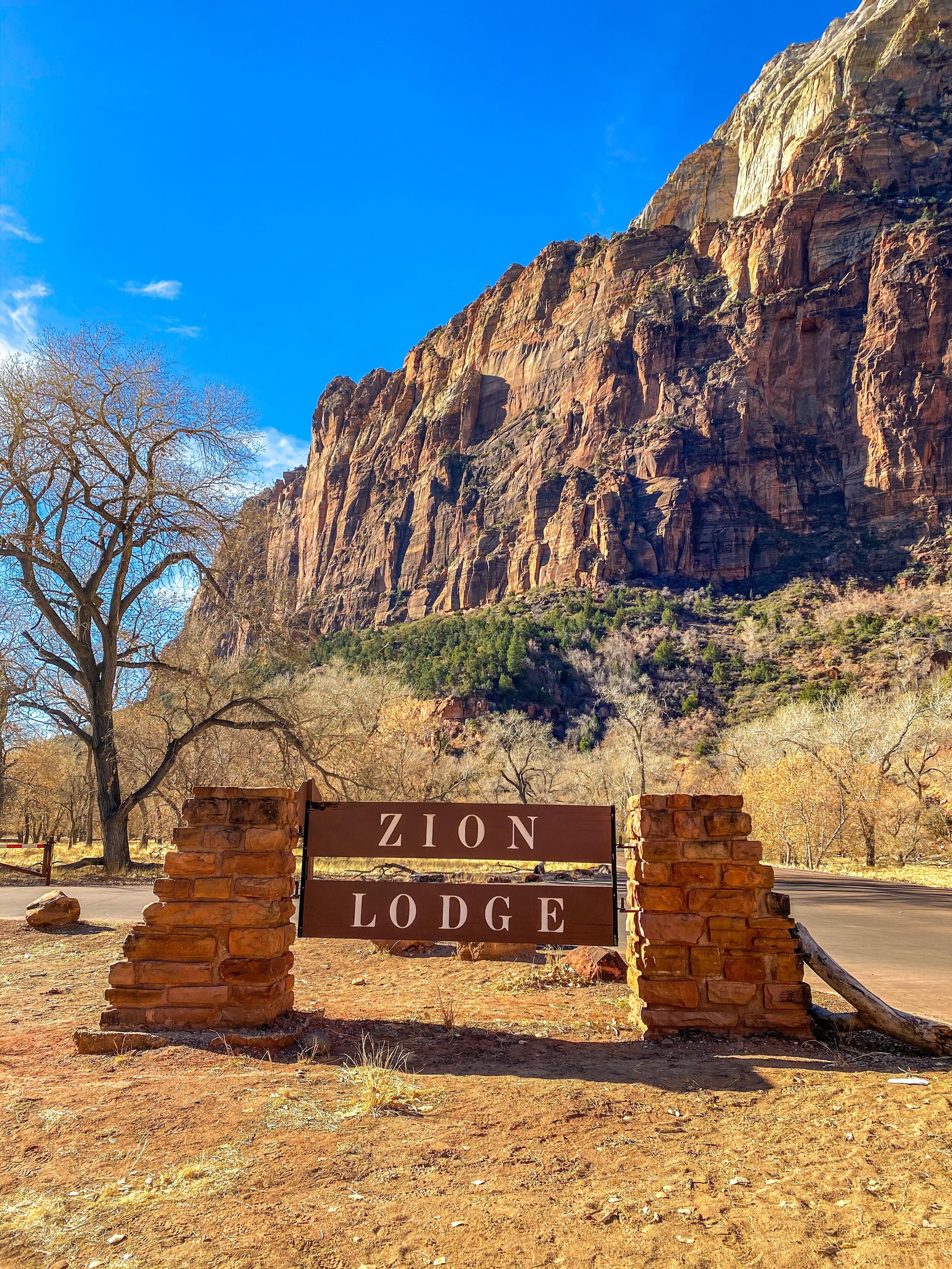 We chose zion lodge because we are guaranteed parking and have direct access to trail heads