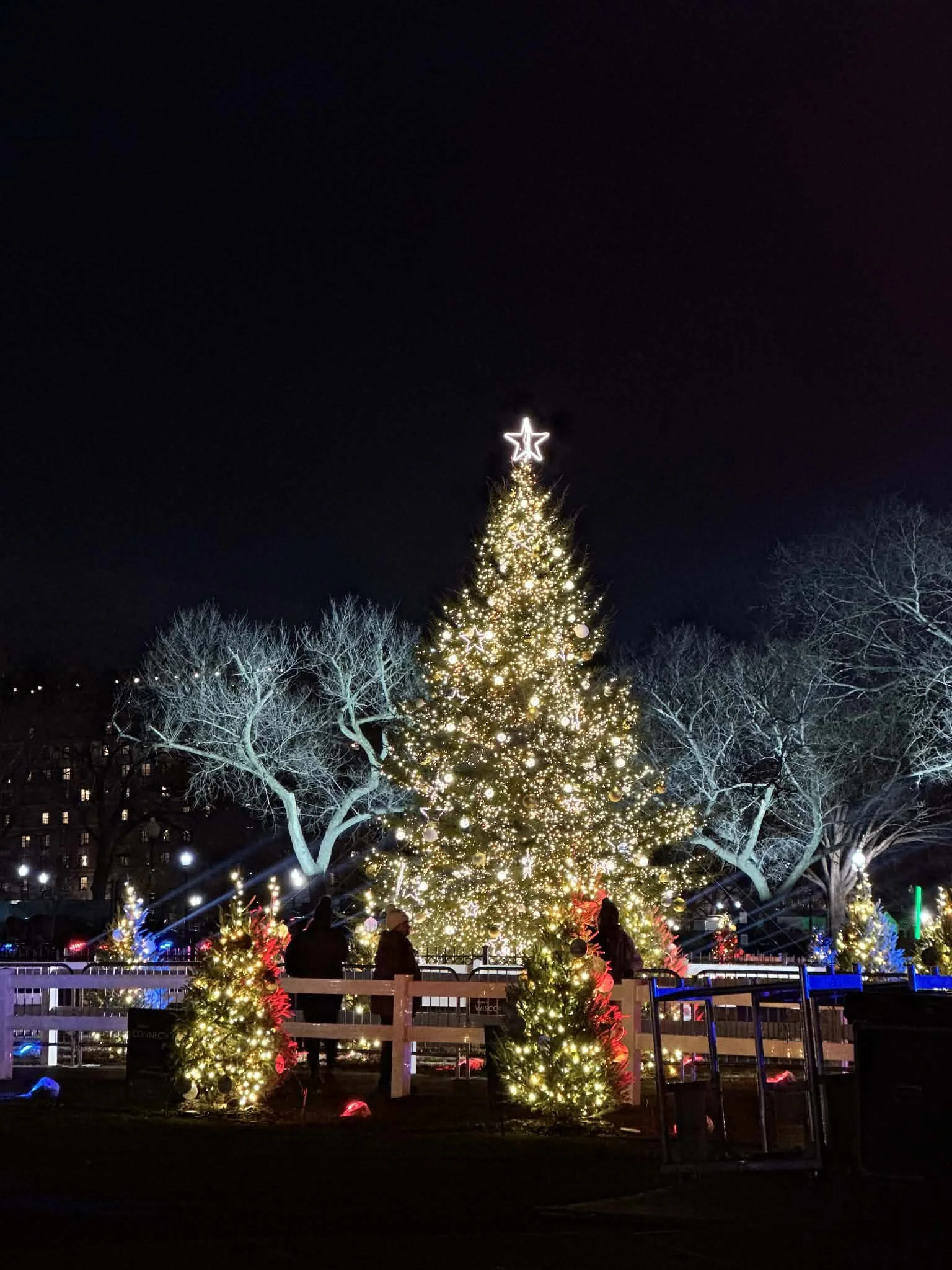 The Ultimate Guide to Holiday Activities in Washington D.C.