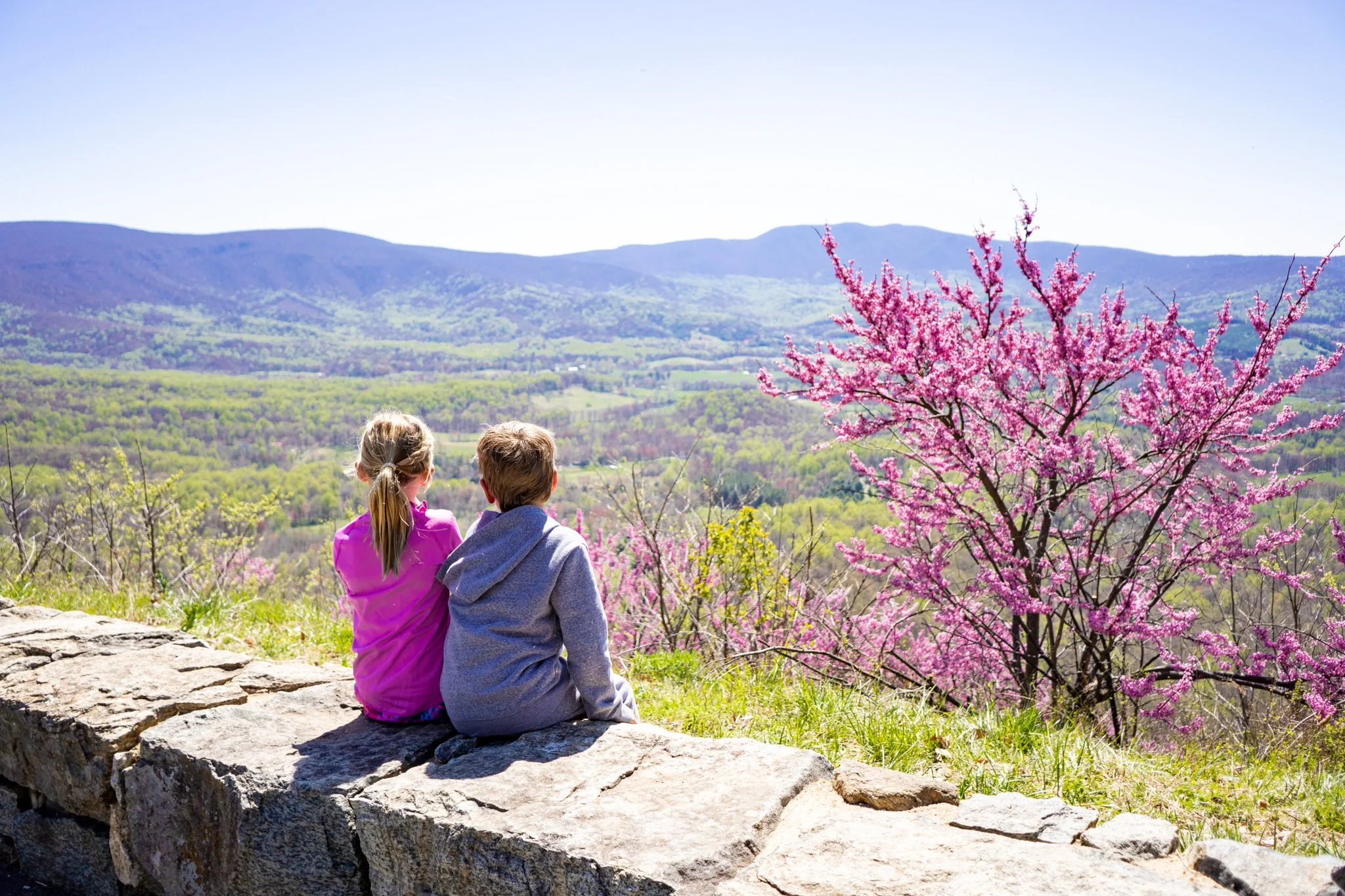 The Best Hikes with Kids in Shenandoah National Park in Spring