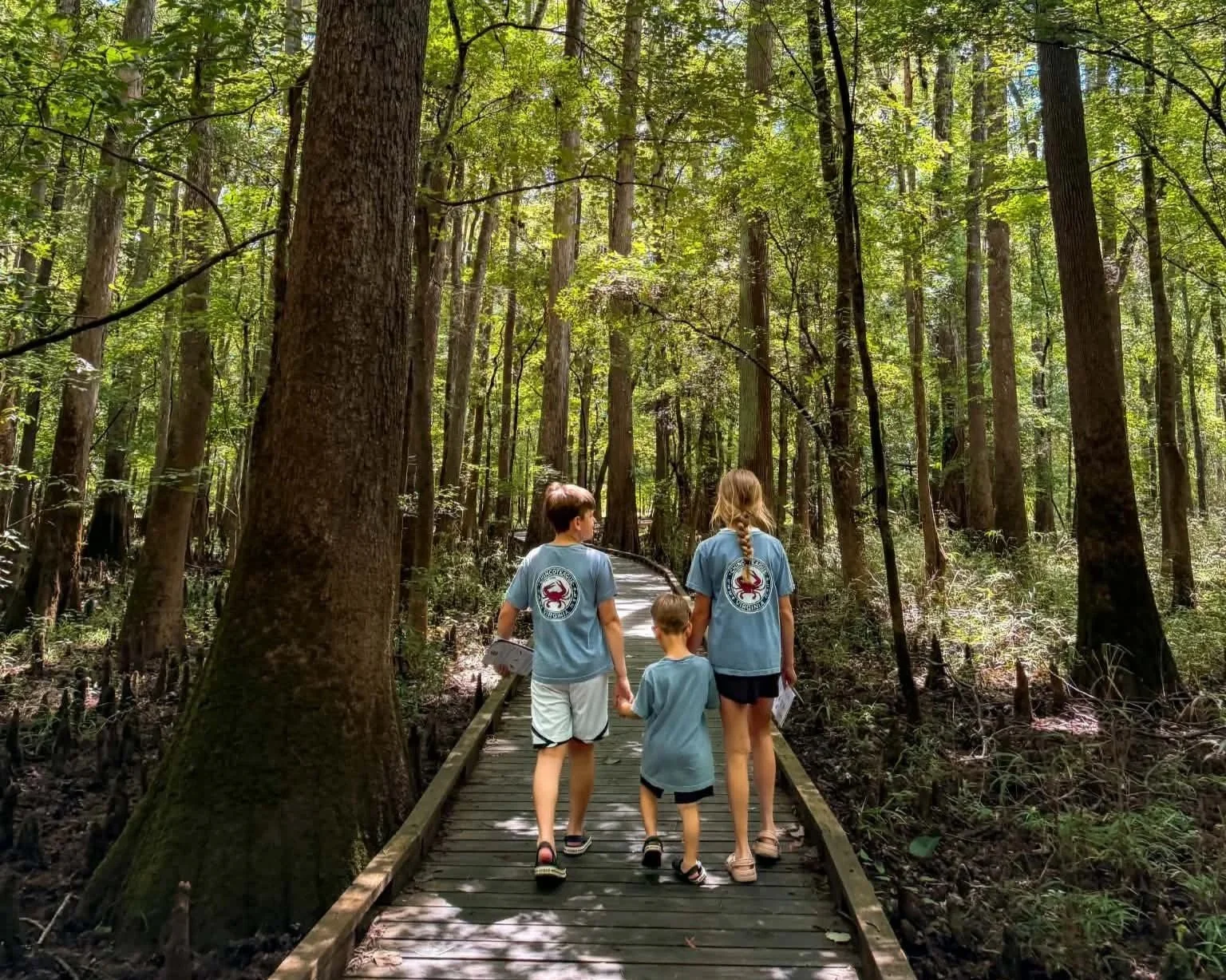 What to do in Congaree National Park with Kids