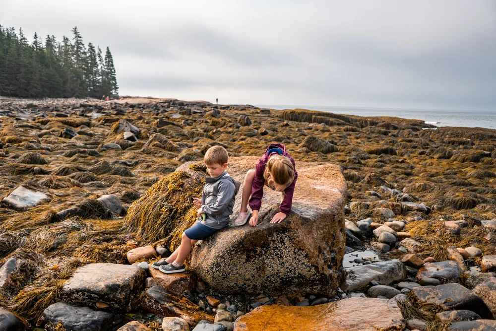 What to do in Acadia National Park with Kids — Big Brave Nomad